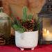 The Holiday Aisle® Xmas Mix in Bears Ceramic Footed Pot Ceramic | 9 H x 7.5 W x 7.5 D in | Wayfair B8BC766EF964439C96F2CB44127D8862