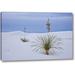 Union Rustic 'New Mexico, White Sands NM Yucca on Sand Dunes' Photographic Print on Wrapped Canvas in Blue/White | 16 H x 24 W x 1.5 D in | Wayfair