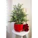 The Holiday Aisle® 19"H Green Pine Artificial Christmas Tree, Ceramic | 19 H x 9.8 W in | Wayfair 54275099847B430385C404DC2294DBEE