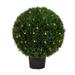 Vickerman 658192 - 24" Cedar Ball UV 100WW LED (TP171424LED) Home Office Topiaries