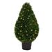 Vickerman 658239 - 36" Cedar Teardrop Shaped UV 100WW LED (TP171636LED) Home Office Topiaries