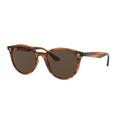 Ray-Ban RB4305 Sunglasses 820/73-53 - Dark Brown Lenses