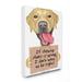 Stupell Industries Labrador Bad Dog Humor Chewing Shoes Pet Sign by Danny Gordan - Graphic Art Print Canvas in White | Wayfair ab-168_cn_36x48