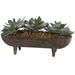 Millwood Pines Echeveria Succulent in Wooden Dough Bowl w/ Legs Wood/Plastic in Brown | 11 H x 20 W x 8 D in | Wayfair