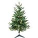 Kurt Adler Jackson 3' Green Pine Artificial Christmas Tree w/ 60 White Lights in Green/White | 36 H x 25 W in | Wayfair TR60300LEDWW