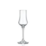 RONA Grappa Glass 3.5 oz. Crystal | 7.25 H x 2.5 W in | Wayfair LR-6050/100