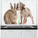 East Urban Home 2 Piece Pet Photo of Chihuahua Puppy w/ Rabbit on Plain Background Kitchen Curtain Set Polyester | 39 H x 55 W x 2.5 D in | Wayfair