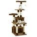 Classic Brown Cat Tree Condo Furniture with Sisal Scratching Posts, 67.25" H, 24 IN