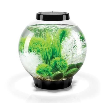 biOrb CLASSIC 15 Black Grass Field Aquarium Set with Standard Light, 4 Gallon