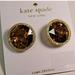 Kate Spade Jewelry | Kate Spadeny She Has Sparkstud Earrings -Gold | Color: Gold | Size: Gold
