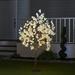 Hi-Line Gift Ltd. Lighted Trees & Branches in White | 47.24 H x 31.4 W x 31.4 D in | Wayfair 37446-S