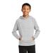 Sport-Tek YST225 Youth PosiCharge Electric Heather Fleece Hooded Pullover T-Shirt in Silver size Small