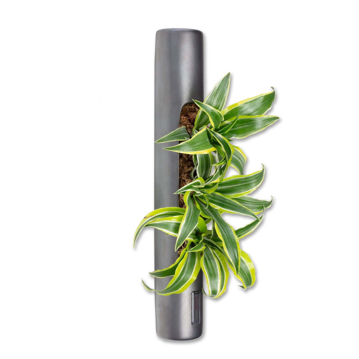 Flowerbox Tube - anthrazit - 40x6,5 cm Image