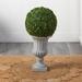 Primrue 14" Artificial Boxwood Topiary in Urn Silk/Plastic/Metal | 30 H x 15 W x 15 D in | Wayfair 0EDFD7452B184E7B85E0F7A301D00E50