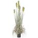 Primrue Reed 72" Artificial Flowering Grass in Pot Plastic | 72 H x 18 W x 18 D in | Wayfair D314320E40E54D409107EDE04A0B095E