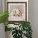 Highland Dunes Impressionist Shell Study II - Picture Frame Painting Print on Paper in Brown/Gray | 17 H x 17 W x 1.5 D in | Wayfair