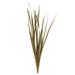 Vickerman 655313 - 18-30? Natural Snake Grass - 36 Stems (H1SNG000-3) Dried and Preserved Grass