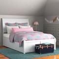 Harriet Bee Salem Sleigh Storage Platform Bed w/ Matching Footboard & Under Bed Drawers Wood in White | 44.25 H x 55.63 W x 82 D in | Wayfair