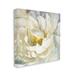 Winston Porter Floral Close-up Petals Nature Yellow White Painting by Danhui Nai - Graphic Art Print Canvas in White/Yellow | Wayfair