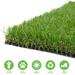 Multi Purpose Artificial Grass Synthetic Turf Indoor/Outdoor Doormat/Area Rug Carpet 6 x 9 ft