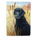 Curly Coated Retriever Garden Flag