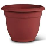 Bloem Ariana Planter with Self Watering Grid - 12 Inches