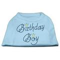 Birthday Boy Rhinestone Shirts Baby Blue XXXL(20)