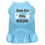 Mirage Pet 58-64 BBL4X Here for the Boos Screen Print Dog Dress Baby Blue - 4XL 22