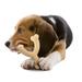 Nylabone Wishbone Power Chew Dog Toy Adult Dog Original Original Medium/Wolf (1 Count)