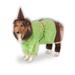 Pet Scarecrow Costume Wizard of Oz