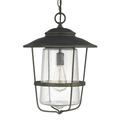 Capital Lighting - Creekside - 1 Light Outdoor Hanging Lantern - in