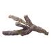 Caribsea Life Rock Natural Petrified Coral for Fish and Reef Tanks (20Lb)