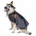 Witch Dog Pet Pet Costume - Small