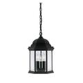 Designers Fountain 2984-Bk 3 Light 9.5 Cast Aluminum Hanging Lantern From The Devonshire