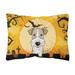Carolines Treasures BB1805PW1216 Halloween Wire Haired Fox Terrier Canvas Fabric Decorative Pillow 12H x16W multicolor