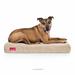 Brindle 4 Plush Memory Foam Orthopedic Dog Bed