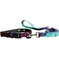 Dog Leash Set - Patterned Dog Collar Set Matching Dog Collar and Lead Made in The USA - 3/4 Inch Wide Adjusts to 11.5-17.5 Inches Medium Wicked Purple