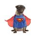 Superman Pet Costume