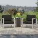 Darius Outdoor Aluminum Club Chairs with Wicker Topped Side Table Sliver Gray Gray