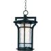 Maxim Oakville One Light 19-Inch Outdoor Hanging Lantern - Black Oxide - 30488WGBO