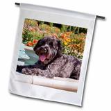 3dRose Schnauzer lying on fountain edge in rose garden MR and PR - Garden Flag 18 by 27-inch