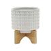 Sagebrook Home Ceramic 5 Dotted Planter With Wood Stand Ivory Round Ceramic Contemporary 6 L X 6 W X 8 H Dot