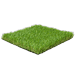 AllGreen Oakley 4 x 6 ft Multi Purpose Artificial Grass Synthetic Turf Indoor/Outdoor Doormat/Area Rug Carpet