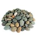Mexican Beach Pebbles Round River Rock Landscape Garden Stones 20 pounds