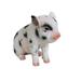 Hi-Line Gift Ltd. Sitting Baby Pig Garden Statue