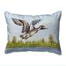 Betsy Drake SN394 11 x 14 in. Pintail Duck Small Indoor & Outdoor Pillow