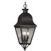 Livex Lighting Amwell 3 Light Outdoor Chain Lantern