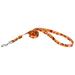 Country Brook PetzÂ® 1/2 inch Fall Foliage Dog Leash - 4 Foot