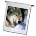 3dRose North America USA Minnesota. Wolf (Canis lupus) - US24 GJE0012 - Gavriel Jecan - Garden Flag 12 by 18-inch