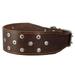 Dogs My Love 3 Extra Wide Genuine Leather Studded Brown Leather Collar 23.5 -28 Neck XLarge Breeds